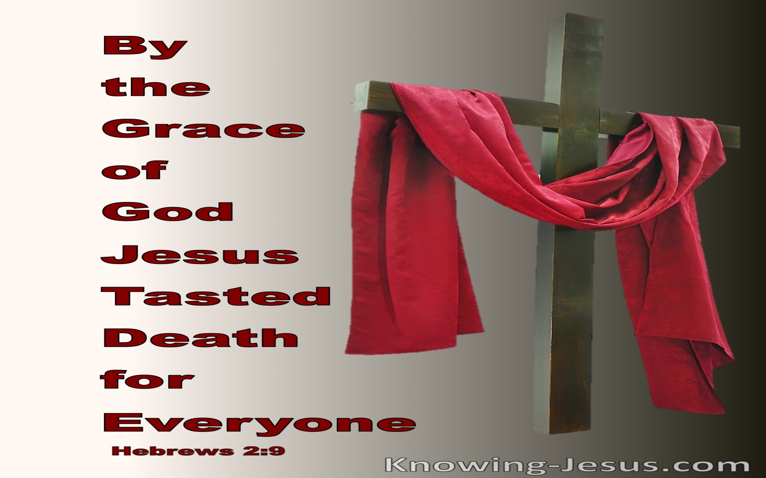 Hebrews 2:9 Jesus Crowned With Glory And Honour (red)